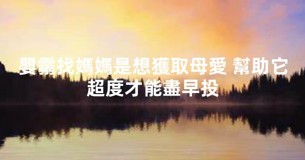 嬰霛找媽媽是想獲取母愛 幫助它超度才能盡早投